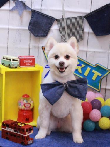 20230427ぽこちゃん